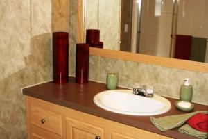 Vanity sink and mirror