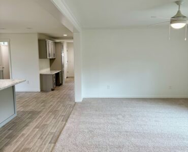 Living room and kitchen